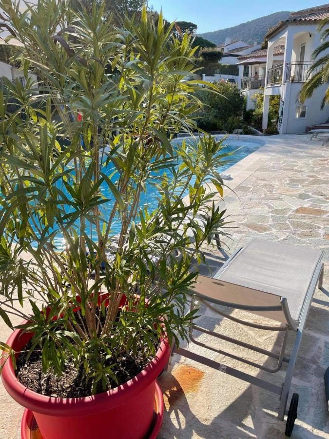 Maxima Sunset Διαμέρισμα Σαιντ-Μαξίμ Εξωτερικό φωτογραφία
